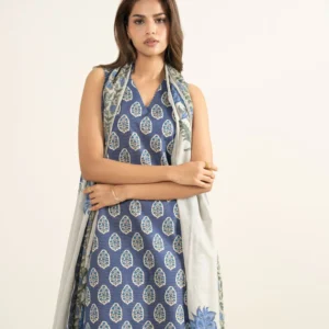 3 Piece – Printed Zari Lawn Suit